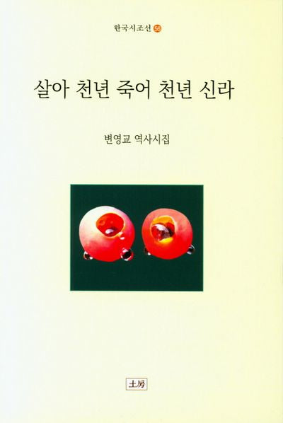 살아 천년 죽어 천년 신라(한국시조선 56)