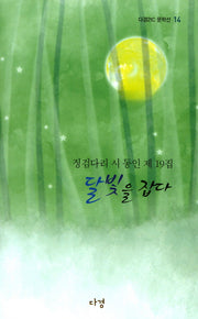 달빛을 잡다(다경21C 문학선 14)