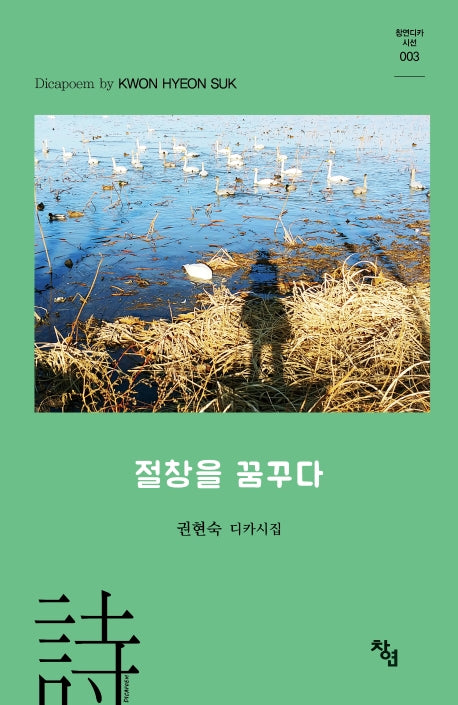 절창을 꿈꾸다(창연디카시선 3)