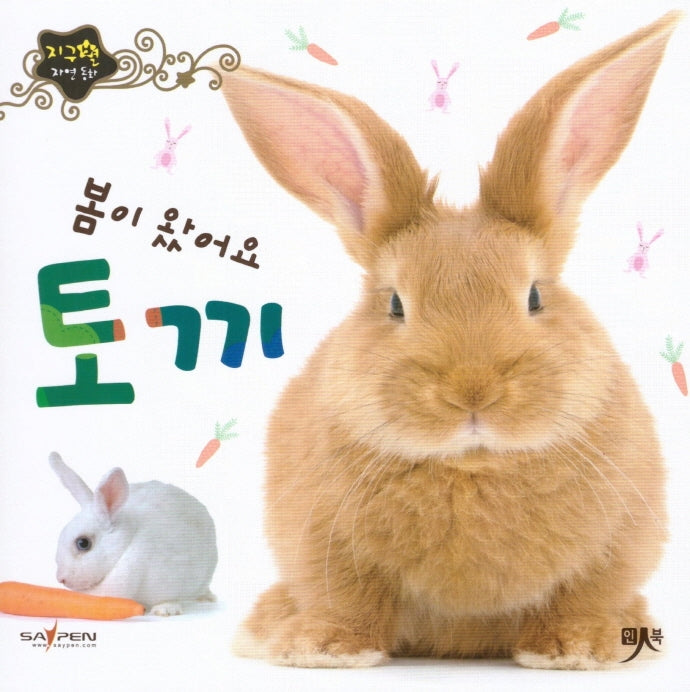 봄이 왔어요 토끼(지구별 자연동화)(보드북)