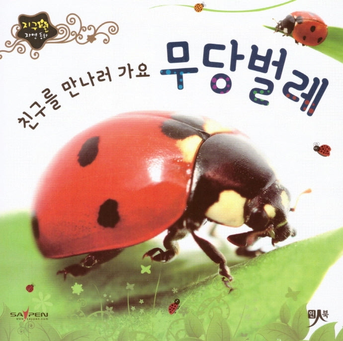 친구를 만나러 가요 무당벌레(지구별 자연동화)(보드북)