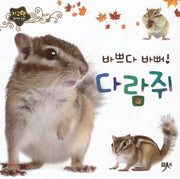 바쁘다 바뻐 다람쥐(지구별 자연동화)(보드북)
