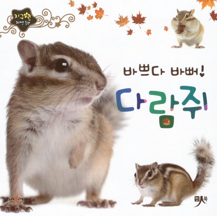 바쁘다 바뻐 다람쥐(지구별 자연동화)(보드북)