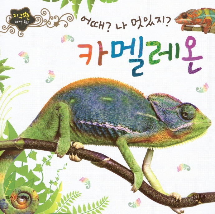 어때 나 멋있지 카멜레온(지구별 자연동화)(보드북)