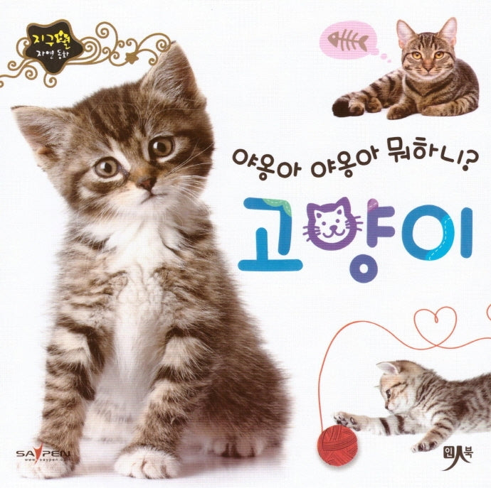 야옹아 야옹아 뭐하니 고양이(지구별 자연동화)(보드북)