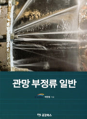 관망 부정류 일반