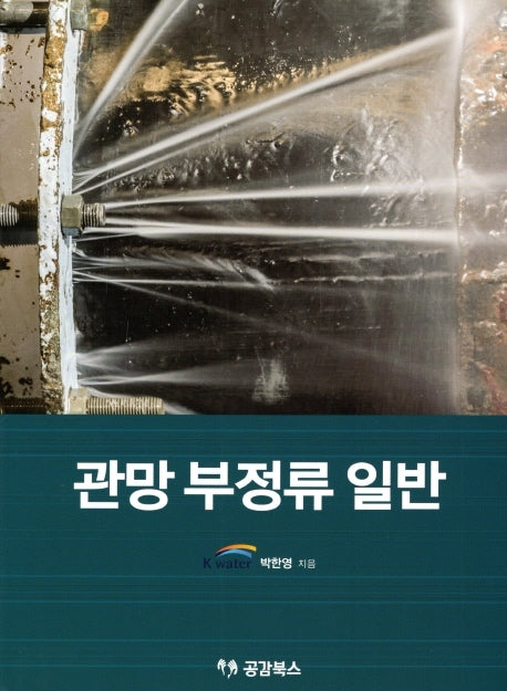 관망 부정류 일반