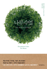 나무수업
