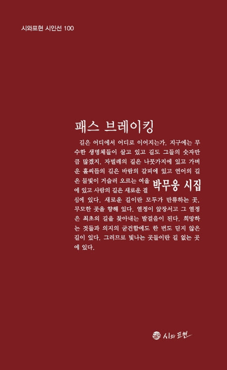 패스 브레이킹(시와표현 시인선 100)