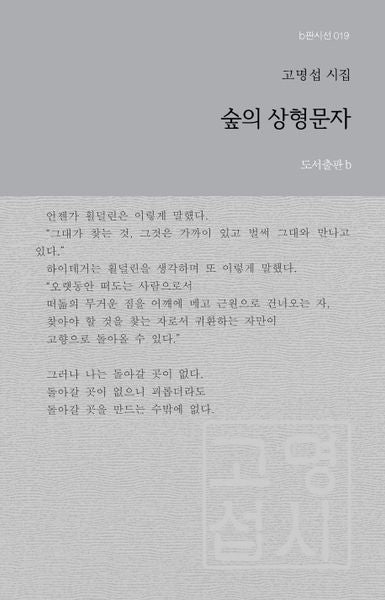 숲의 상형문자(b판시선 19)