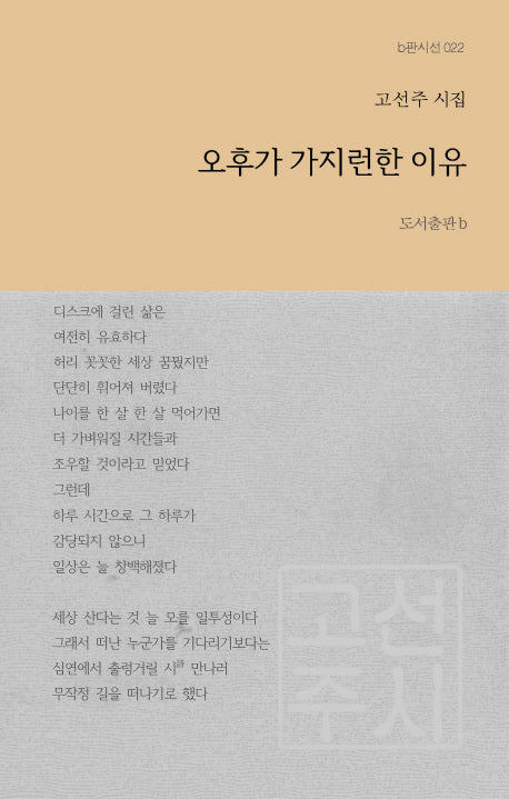 오후가 가지런한 이유(b판시선 22)
