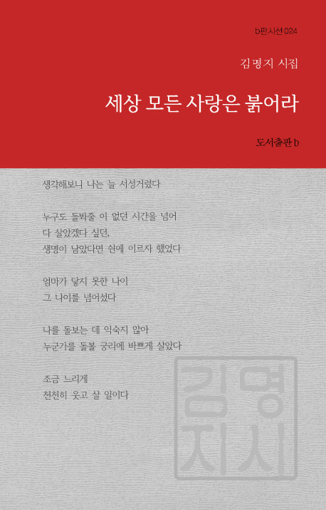 세상 모든 사랑은 붉어라(b판시선 24)