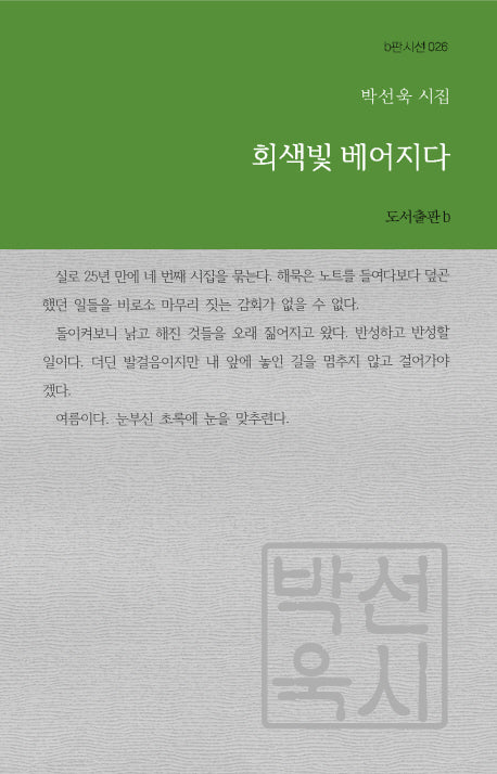 회색빛 베어지다(b판시선 26)
