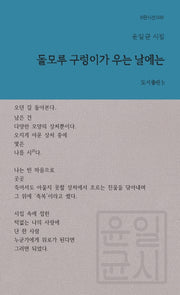 돌모루 구렁이가 우는 날에는(b판시선 29)