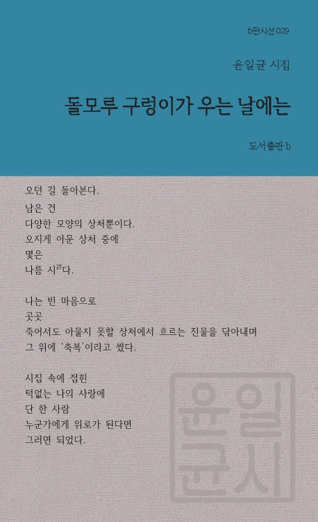 돌모루 구렁이가 우는 날에는(b판시선 29)