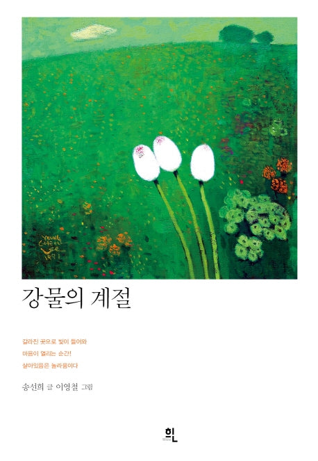 강물의 계절