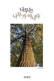 나무는 나무가 아니다