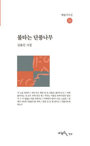 불타는 단풍나무(예술가시선 31)