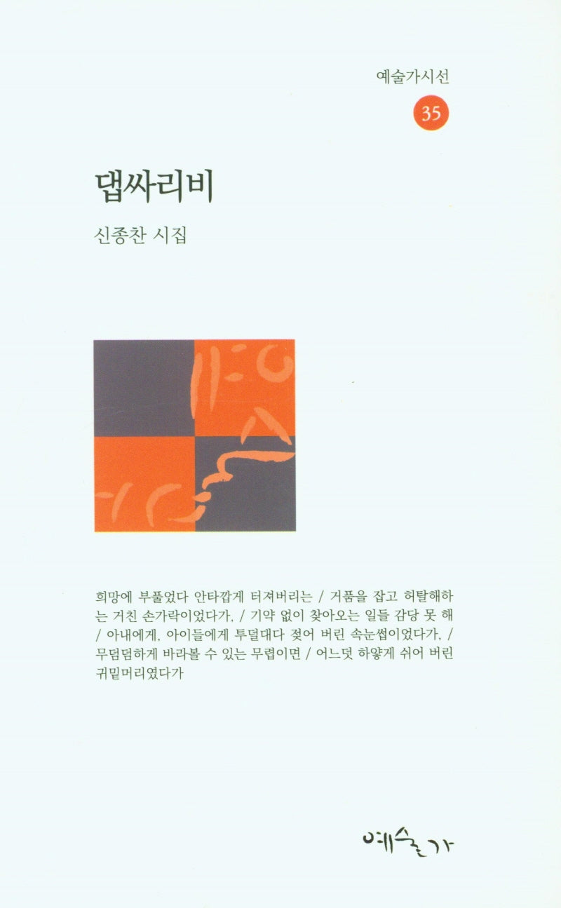 댑싸리비(예술가시선 35)