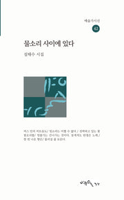 물소리 사이에 있다(예술가시선 42)