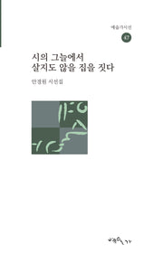 시의 그늘에서 살지도 않을 집을 짓다(예술가시선 47)