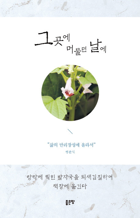 그곳에 머물던 날에
