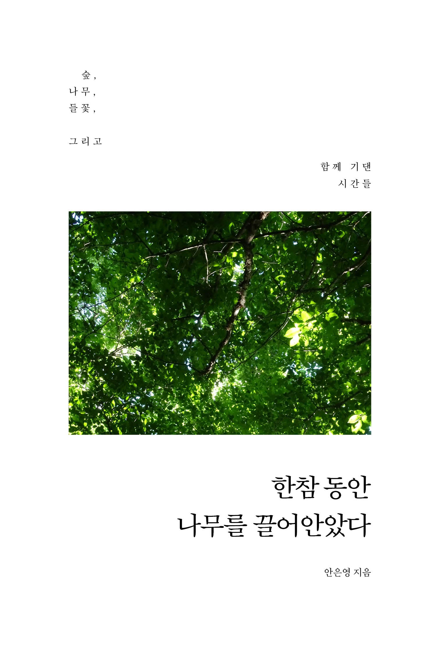 한참 동안 나무를 끌어안았다