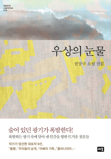 우상의 눈물(대한민국 스토리DNA 16)(양장본 HardCover)