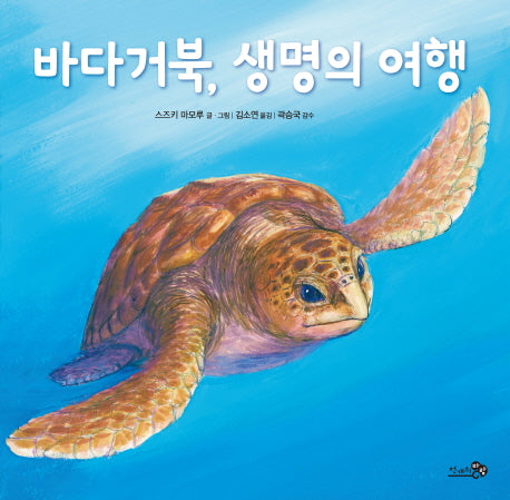바다거북 생명의 여행(바람그림책 59)
