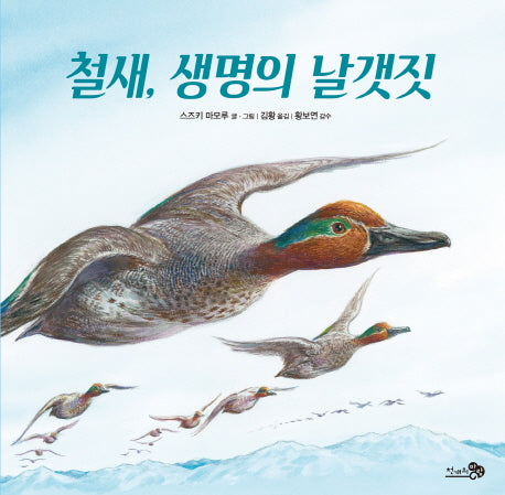 철새, 생명의 날갯짓(바람그림책 70)(양장본 HardCover)