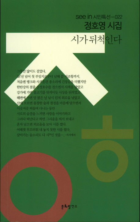 시가 뒤척인다(seein 시인특선 22)