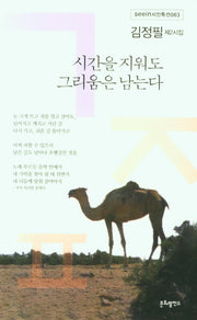시간을 지워도 그리움은 남는다(seein 시인특선 63)