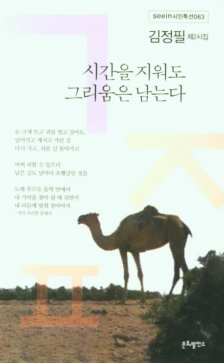 시간을 지워도 그리움은 남는다(seein 시인특선 63)