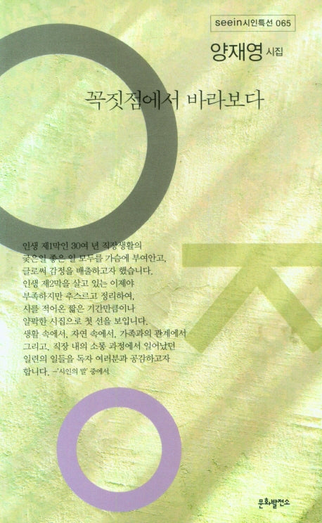 꼭짓점에서 바라보다(seein시인특선 65)