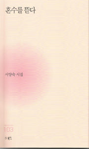 혼수를 뜯다(현대시세계 시인선 103)