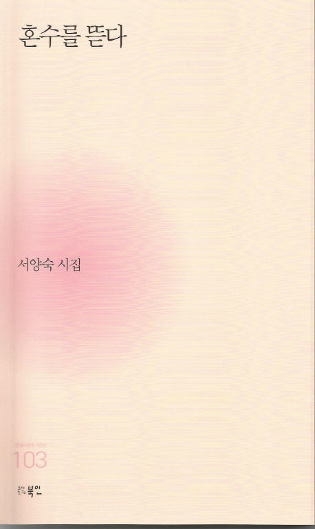 혼수를 뜯다(현대시세계 시인선 103)