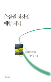 춘삼월 처갓집 매방 저녁(현대시세계 시인선 90)