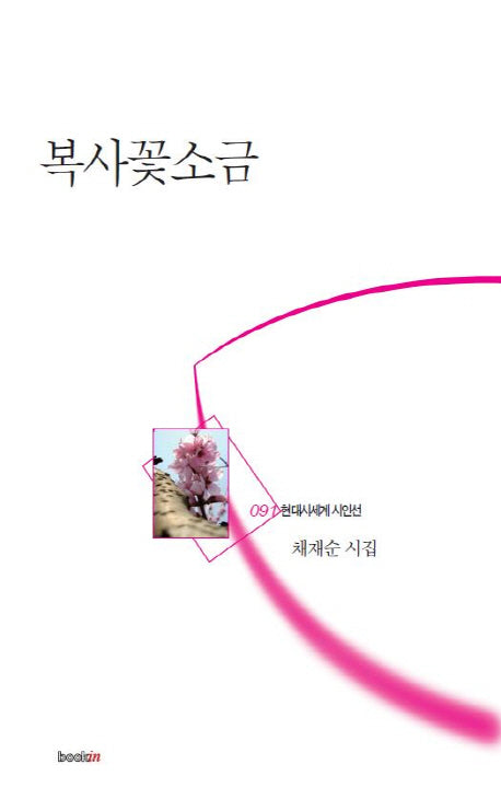 복사꽃소금(현대시세계 시인선 91)