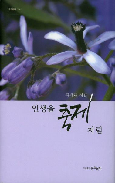 인생을 축제처럼(문힘시선 4)(양장본 HardCover)