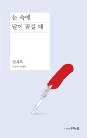눈 속에 달이 잠기 때(양장본 Hardcover)