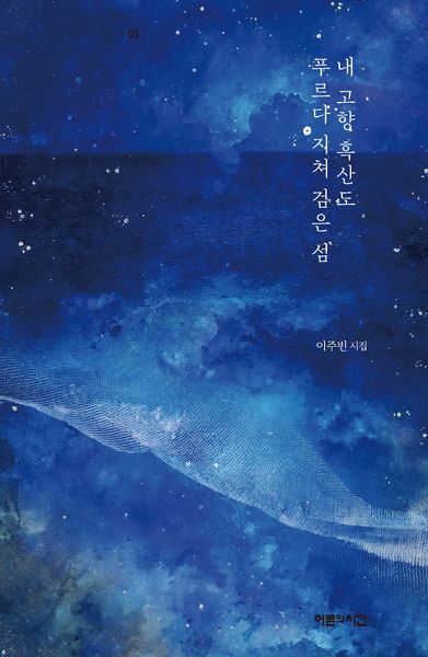 내 고향 흑산도 푸르다 지쳐 검은 섬(어른의시간 시인선 5)