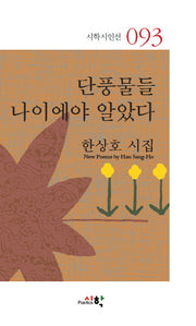 단풍물들 나이에야 알았다(시학시인선 93)