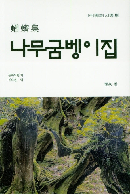 나무굼벵이집
