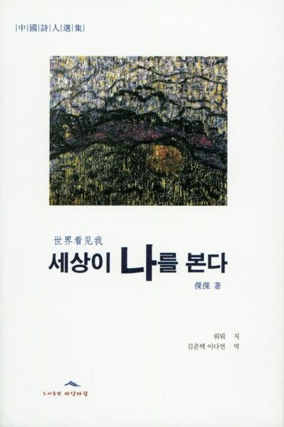 세상이 나를 본다(중국시인선집)