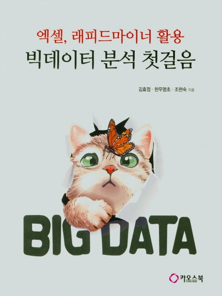 빅데이터 분석 첫걸음(엑셀, 래피드마이너 활용)