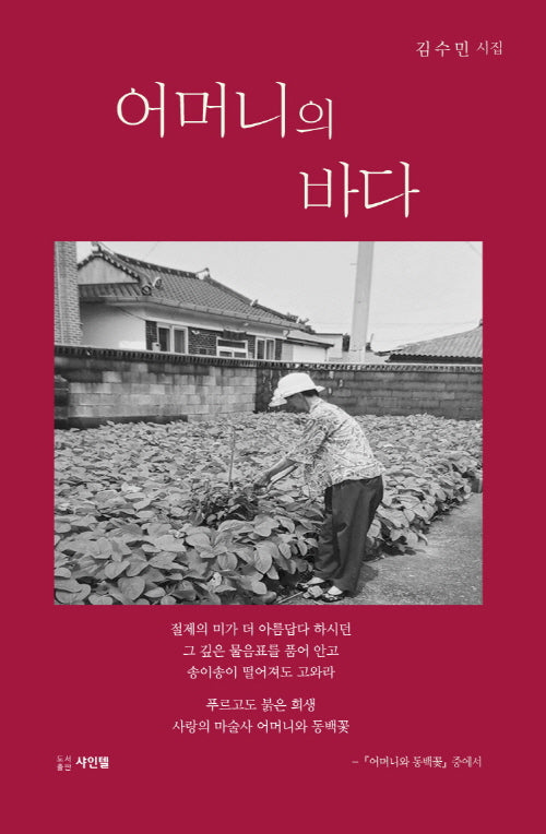 어머니의 바다(양장본 Hardcover)