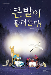 큰발이 몰려온다!(한울림생태환경동화)