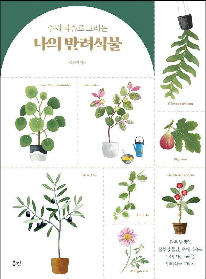 나의 반려식물(수채 과슈로 그리는)