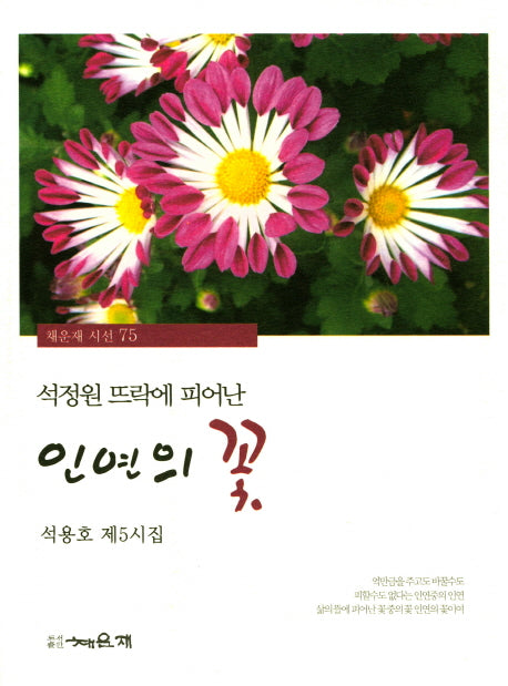 석정원 뜨락에 피어난 인연의 꽃(채운재 시선 75)
