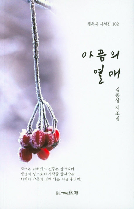 아픔의 열매(채운재 시선집 102)